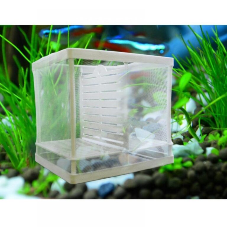 Large Aquarium Isolation Box – Aquarium Reefers
